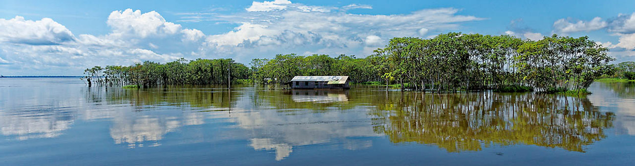 amazonie manaus Brésil voyage