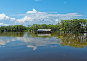 Amazonie Brésil voyage