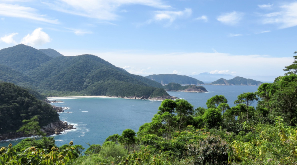 Bachir Sareh Ilha Grande Rio Brésil voyage