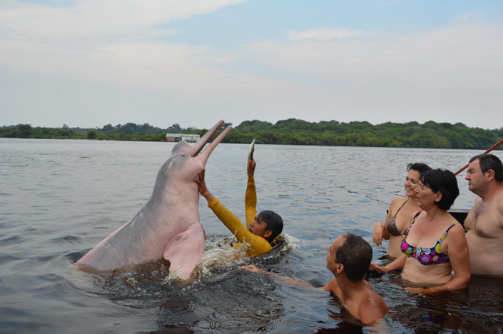 Boto Amazonie Brésil voyage