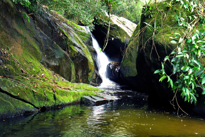 Cascade Ilha Grande Rio Brésil voyage