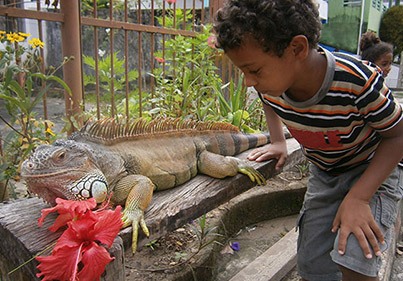 brésil en famille voyage